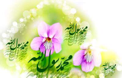   ستاره‌ای بدرخشید و ماه مجلس شد 