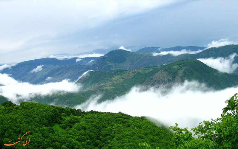  آشنایی با جنگل های ایران