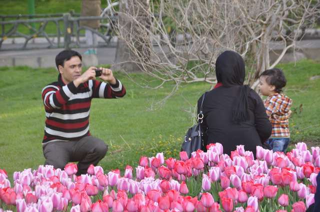 قواعد کنار هم خوش بودن 