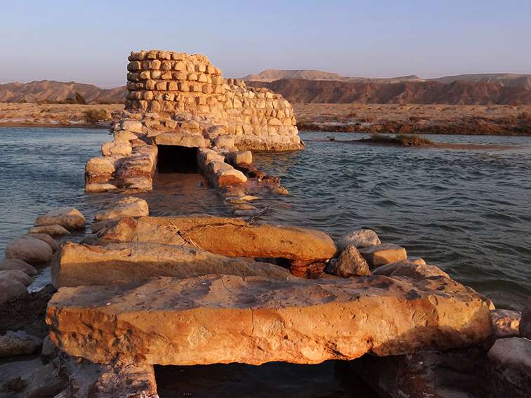 ترنه 