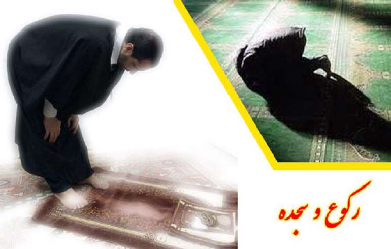 ذکرهای مستحب در سجده و رکوع