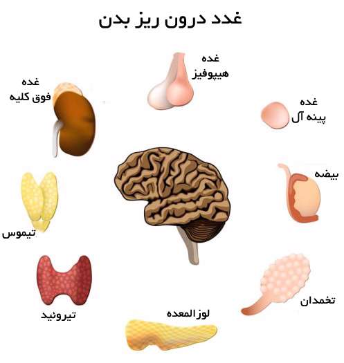 بیماری های مربوط به غدد درون ریز