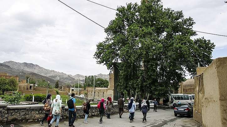 ۱۲ درخت کهنسال ایران ثبت ملی شدند