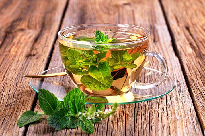 نعناع؛ از رفع غلظت خون تا خواص نشاط آوری