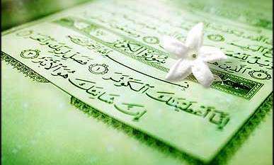  چند آیه از قرآن در مورد حضرت زهرا (س) است ؟