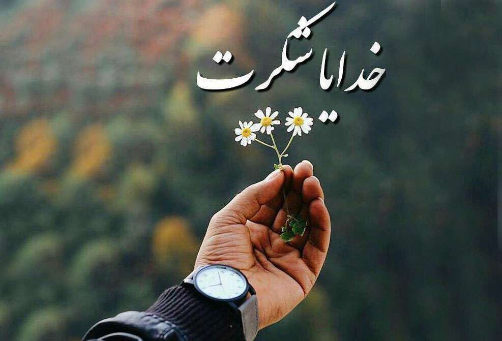 تفاوت میان حمد، مدح و شکر چیست؟