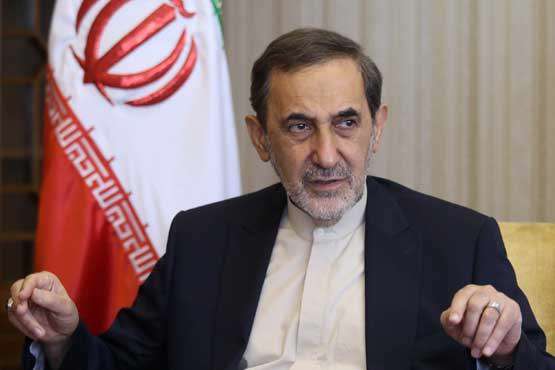 ولایتی: نقد دولت موجب سیاه‌نمایی دستاوردهای نظام نشود 