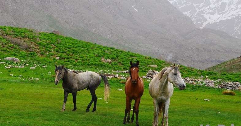 جاذبه دیدنی سی سخت همیشه استوار