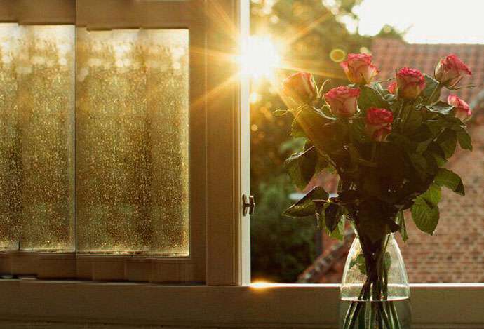   رمز و رازهای قرآنی برای موفقیت در زندگی 