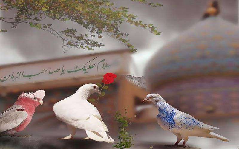 ولادت پنهانی امام زمان (عج)