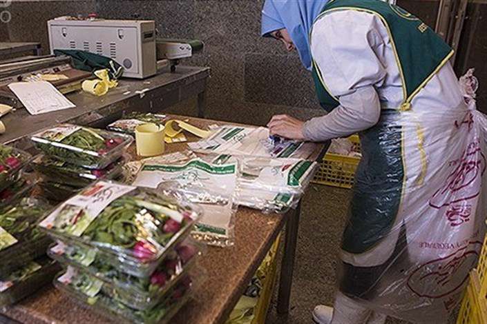 «بیمه اجتماعی» زنان سرپرست خانوار «بیمه اجتماعی» زنان سرپرست خانوار