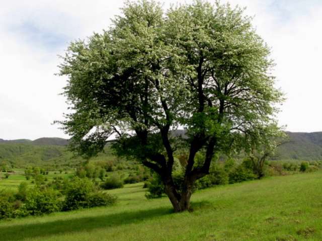 دریاچه ویستان بره سر رودبار