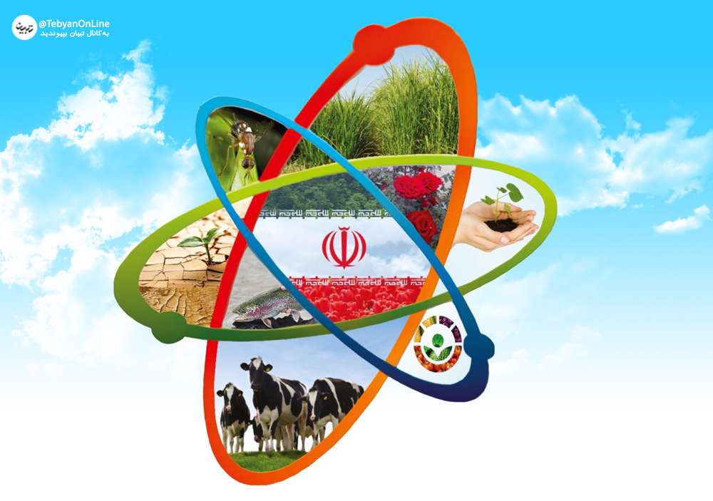  بی نیازی ریشه ای در سایه فناوری هسته ای