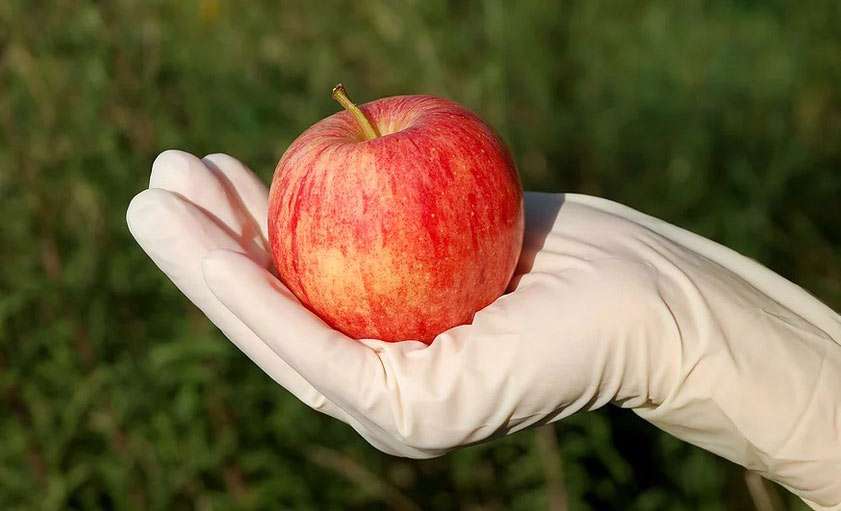 9 ماده غذایی برای مقابله با آلرژی بهاری