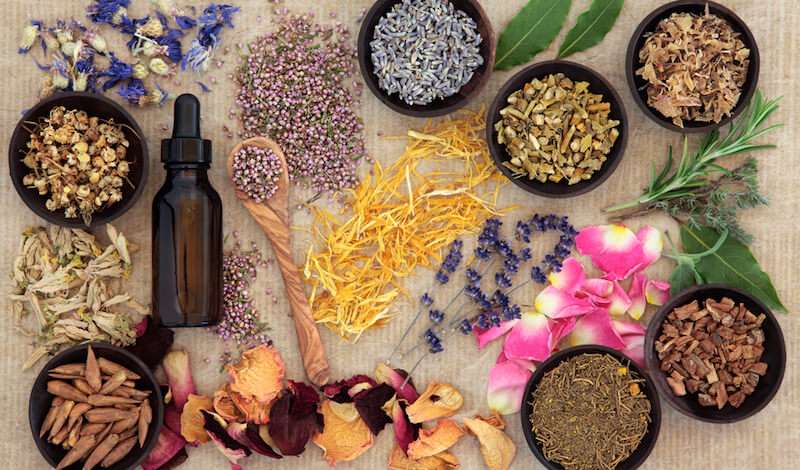 ۱۱ مُسکن گیاهی در طب سنتی