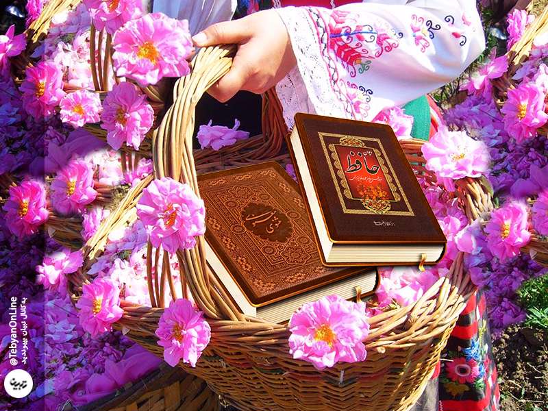 «گلاب»به روایت حافظ،سعدی و مولوی