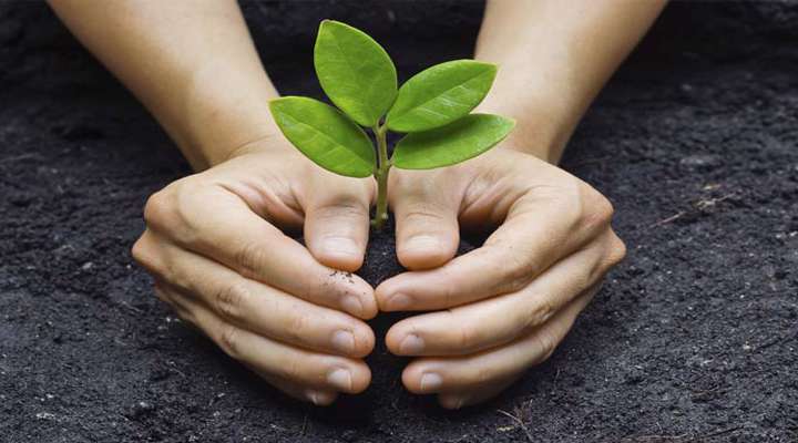 مساقات چیست و چه شرایطی دارد؟