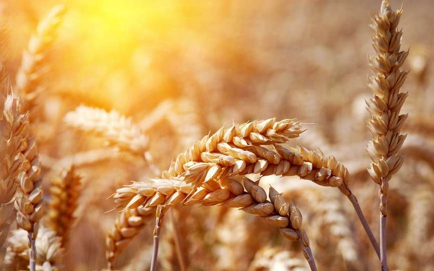 قبض و بسط روزی در مشیت الهی