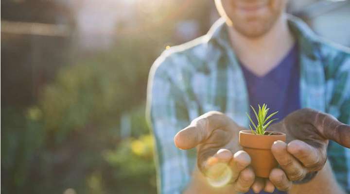 وقف چه شرایطی دارد؟