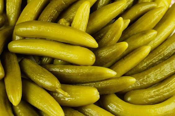 آشنایی با روش تهیه‌ی خیار شور