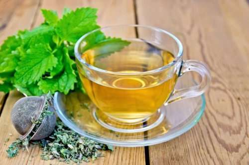 بادرنجبویه گیاهی کمتر شناخته شده با خواص فوق‌العاده