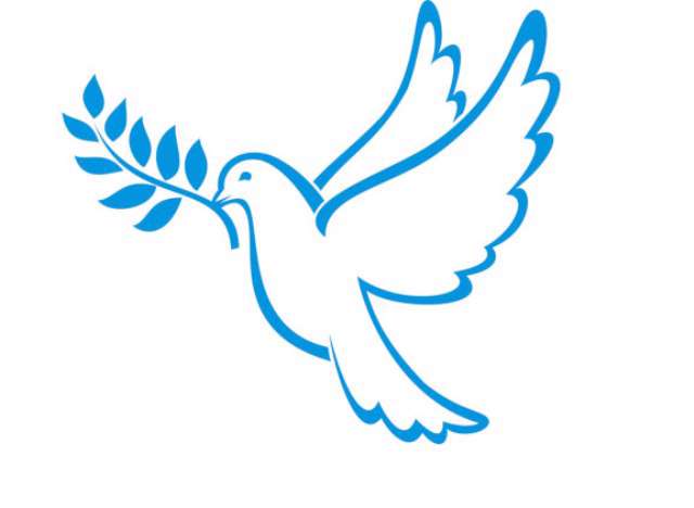 اسلام جنگ طلب است یا صلح طلب؟