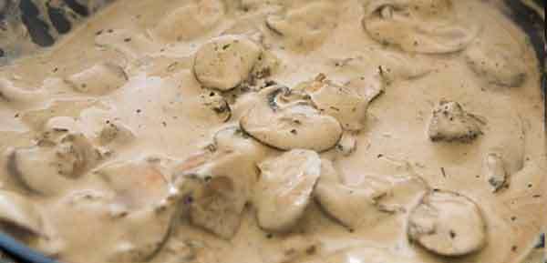 آشنایی با روش تهیه‌ی سس قارچ