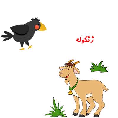  زنگوله
