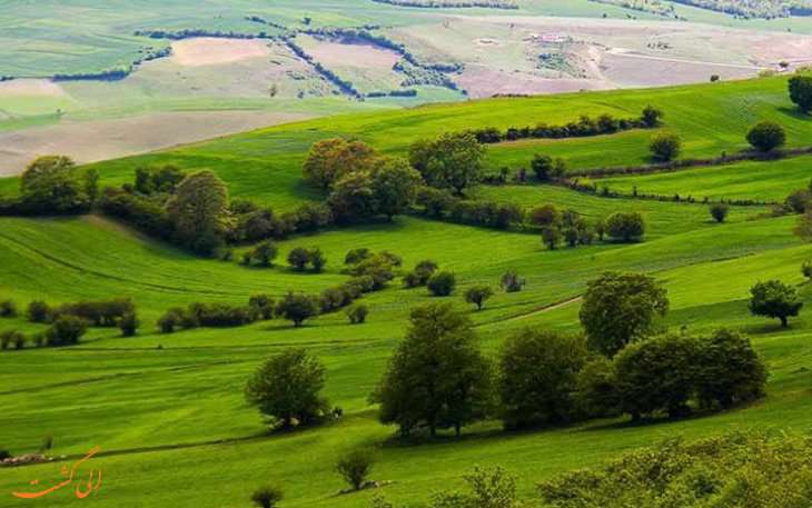 تالاب میانکاله، مهاجر پذیر ترین نقطه برای پرندگان تالاب میانکاله، مهاجر پذیر ترین نقطه برای پرندگان