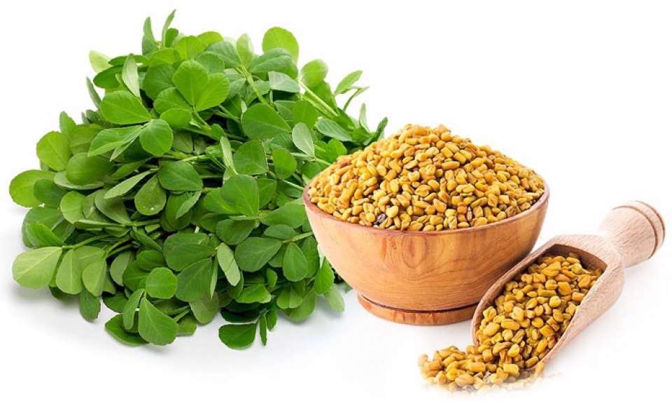 اندر احوالات خواص شگفت انگیز شنبلیله