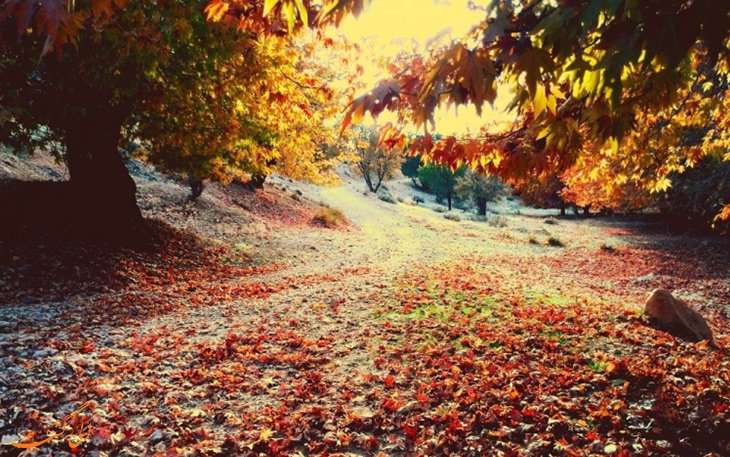  تنگ گنجه ای، گنجیه ای بی نظیر در یاسوج