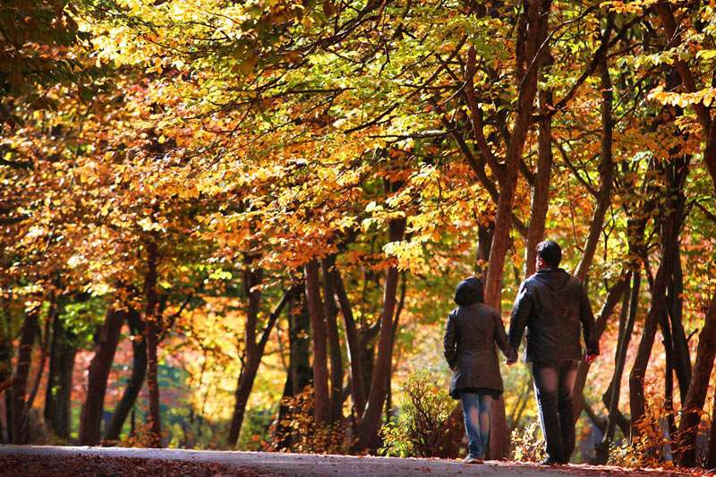  خواسته های جهانی زنان از همسرانشان!