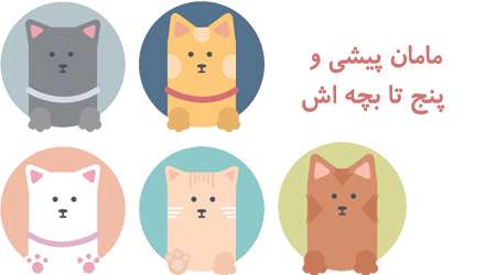  مامان پیشی و پنج تا بچه اش