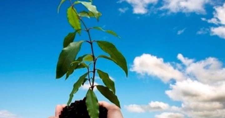 محکومیتی که منجر به استخدام شد