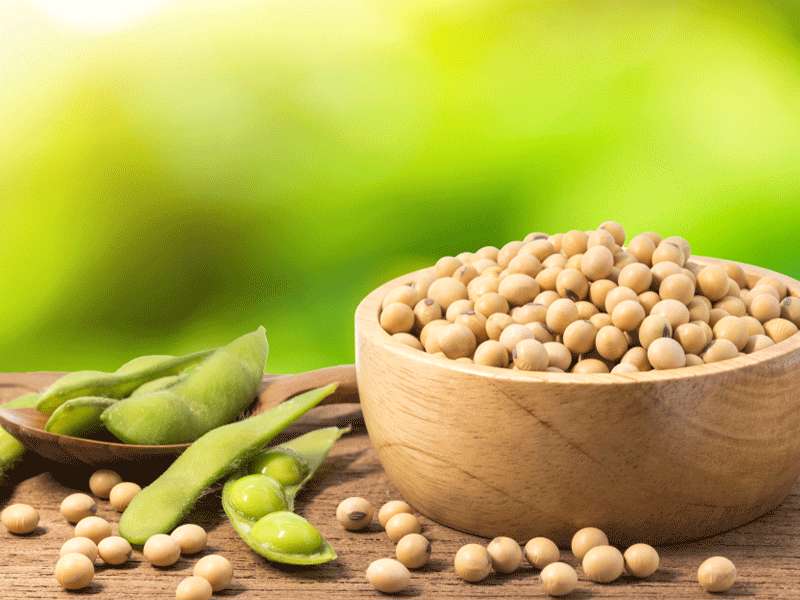 سویا؛ از رفع افسردگی تا پیشگیری از آرتروز