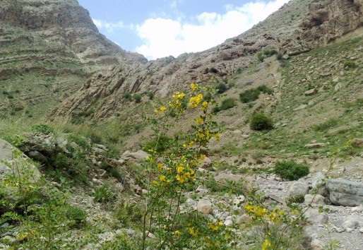 طبیعت اسفجیر