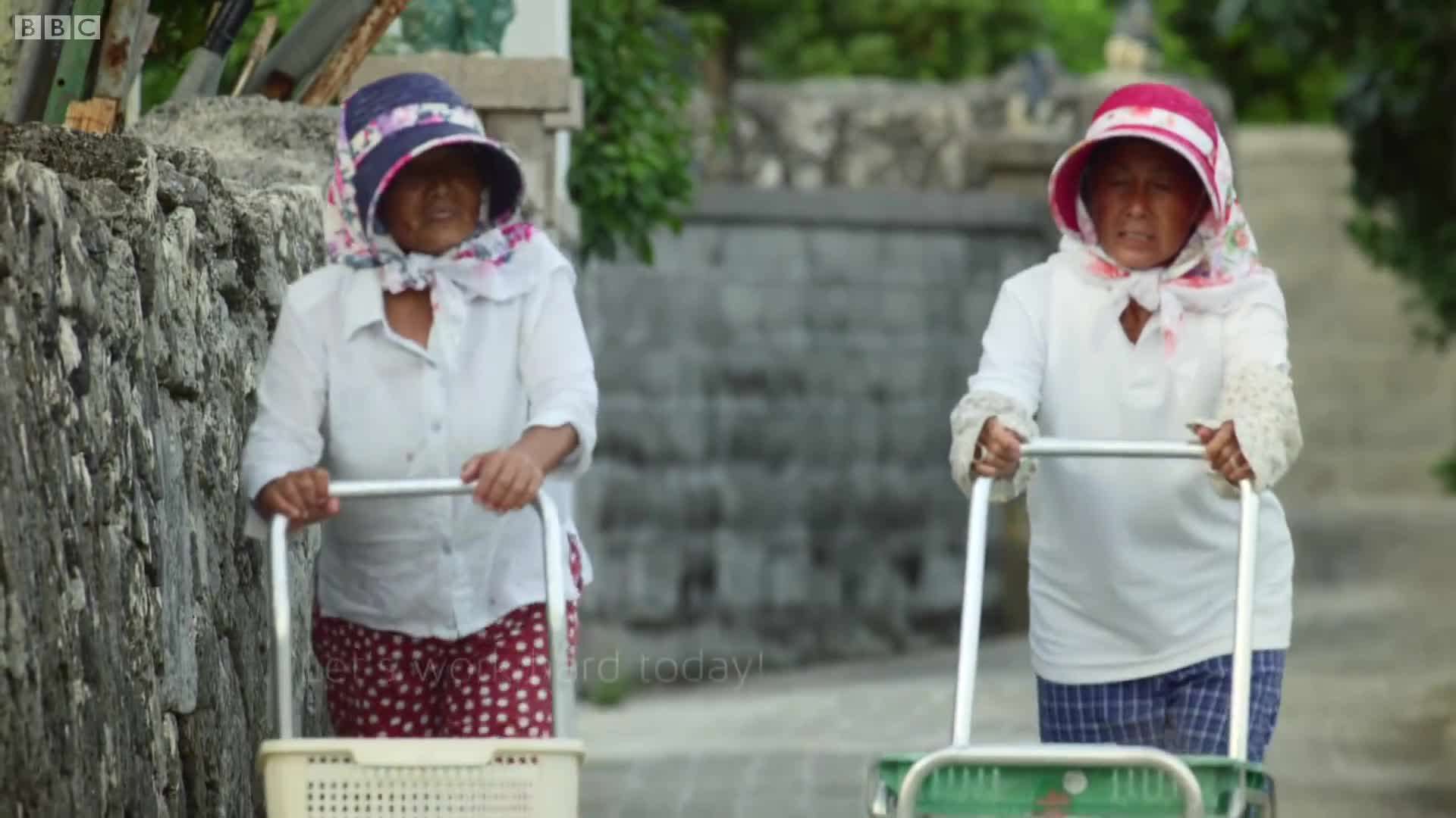 سمی ترین مار دنیا، لذیذ ترین غذای پیرزن ژاپنی!