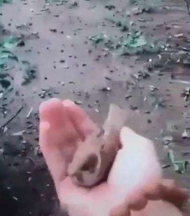 محبت است که زنجیر می شود گاهی