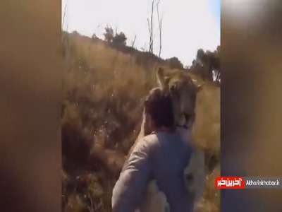 حیات‌ وحش هم زیبایی‌های خودشو داره!