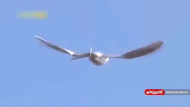 پهباد جالبی که برای پرواز بال میزند!