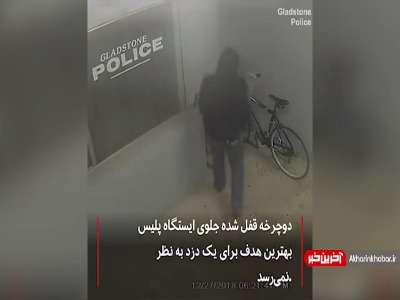 عاقبت دزدی که جلوی پلیس دزدی می‌کند!