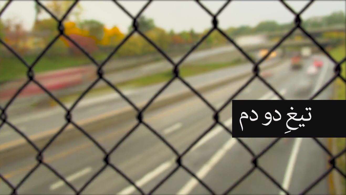 تیغ دو دم