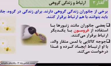 زیست شناسی رفتارهای جانوران