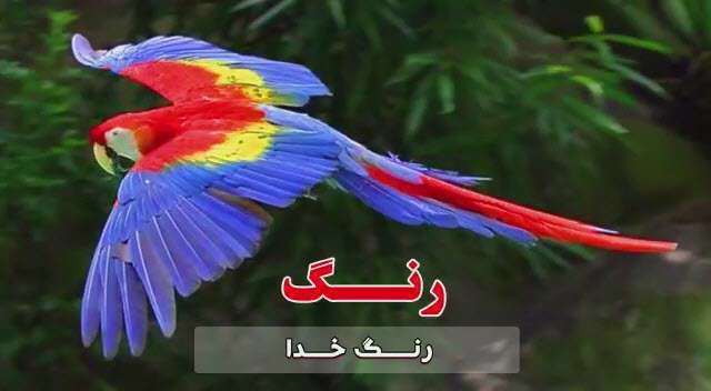 رنگ خدا