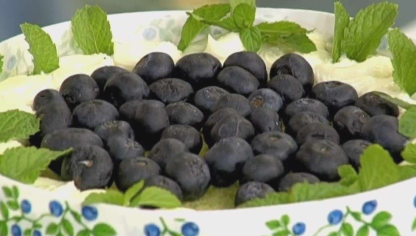 کیک پسته و بلوبری 2 | خانم ظروفی