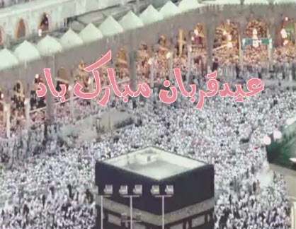 کلیپ استوری عید قربان
