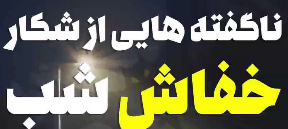 ناگفته‎هایی از شکار خفاش شب