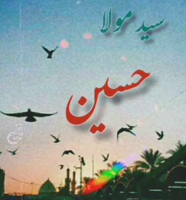 وضعیت واتساپ سید و مولا حسین | میثم مطیعی