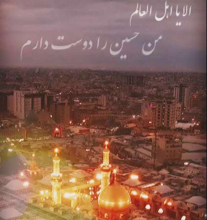 استوری من حسین را دوست دارم | میثم مطیعی