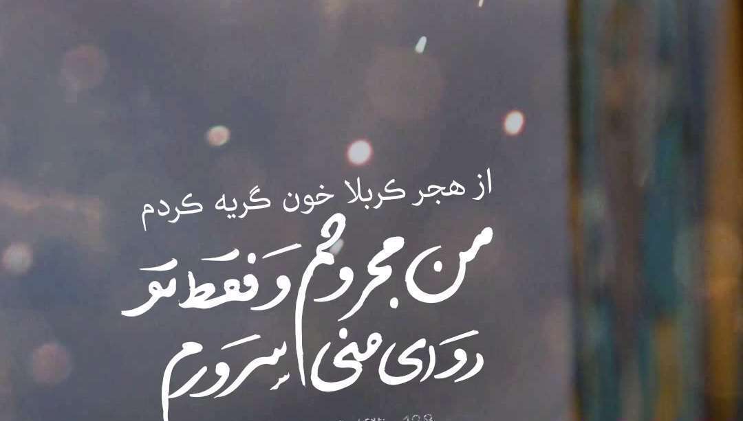 از هجر کربلا خون گریه کردم | استوری عربی